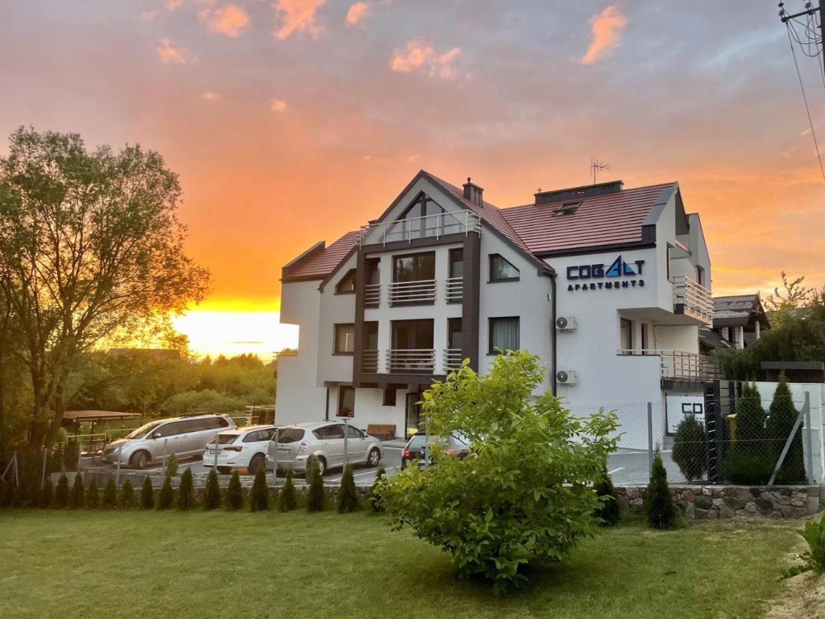 Cobalt * Mikołajki